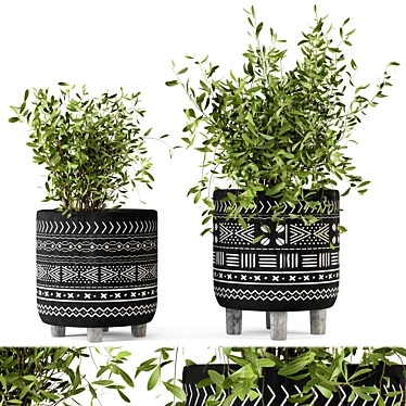 African Pattern Indoor Plants - Set 83 3D model image 1 