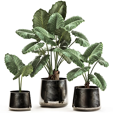 Exotic Tropical Plant Collection in Reclaimed Iron Pot 3D model image 1 