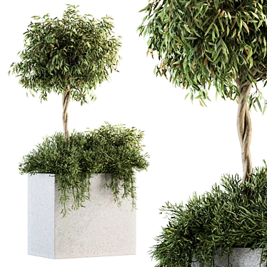 Green Oasis Outdoor Plant Set 3D model image 1 