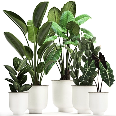 Tropical Plant Collection, White Pots 3D model image 1 