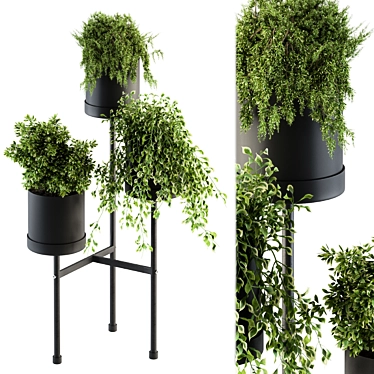Elegant Black Box Plant Stand 3D model image 1 