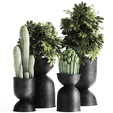 Tropical Plant Collection | Exotic & Decorative Outdoor & Indoor Plants with Black Pots 3D model image 1 