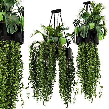 Metal Box Hanging Plants - Set 89 3D model image 1 