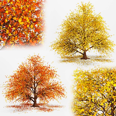 Autumnal Tree Pack: 2 Unique Trees 3D model image 1 