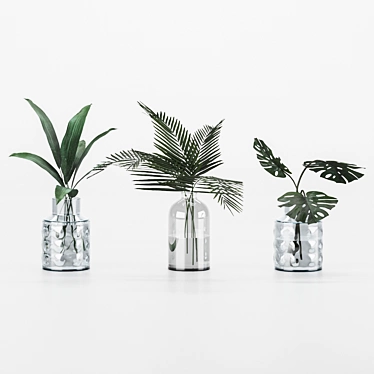 Indoor Plant Collection for any Space 3D model image 1 