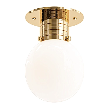 Sleek Flush Mount Globe Light 3D model image 1 