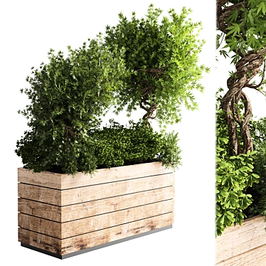 Natural Wood Outdoor Plant Pot (18") 3D model image 1 