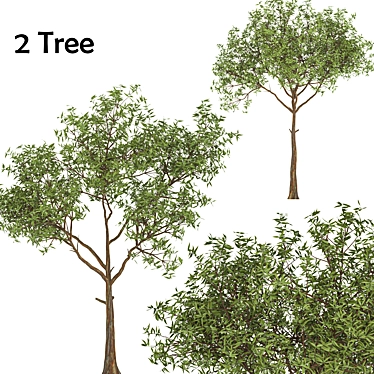 Deluxe Tree Set: 210cm & 270cm 3D model image 1 