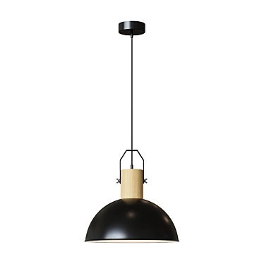 Modern Minimalist Pendant Lamp 3D model image 1 