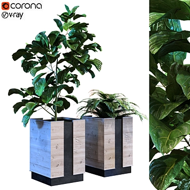 Green Oasis: Boxed Set of 12 Plants 3D model image 1 