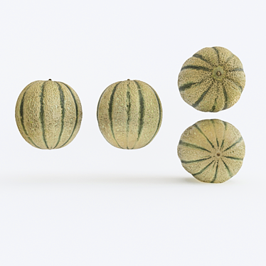 Melon Photogrammetry: High-Quality 3D Model & PBR Textures 3D model image 1 