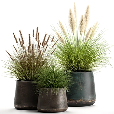 Exotic Plant Collection: Decorative Reeds & Grasses 3D model image 1 