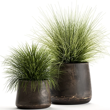 Exotic Plant Collection: Indoor & Outdoor Beauties 3D model image 1 