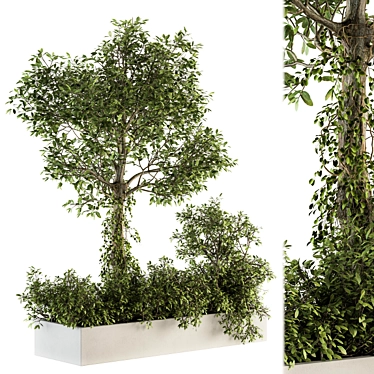 Tropical Garden Set: Tree-inspired 3D model image 1 