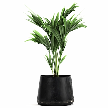 Exotic Plant Collection in Stylish Black Pots 3D model image 1 