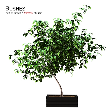 Interior Greenery: Bushes for a Refreshing Space 3D model image 1 
