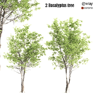 Elegant Eucalyptus Tree - 2 Pieces 3D model image 1 
