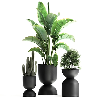 Tropical Chic Plant Collection 3D model image 1 