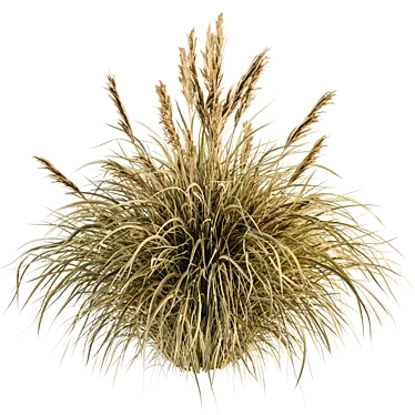 Pampas Oasis - 25 Piece Bush Set 3D model image 1 