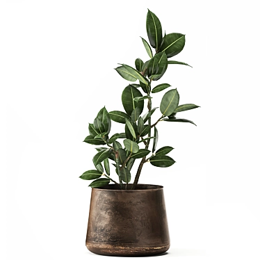 Tropical Plant Collection: Exotics in Reclaimed Iron Pots 3D model image 1 