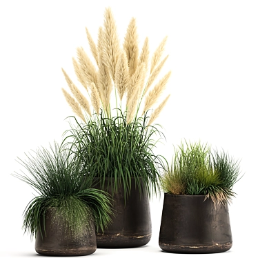 Exotic Plant Collection with Metal Pots 3D model image 1 