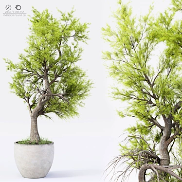 Exquisite Indoor Plant Decor 3D model image 1 