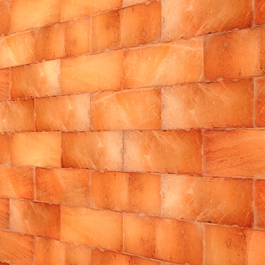 Himalayan Salt Panel - Natural Health Boost 3D model image 1 