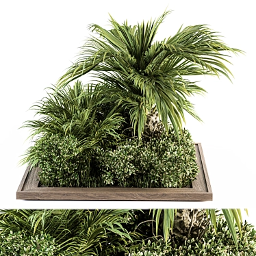 Tropical Bush Garden Set 3D model image 1 