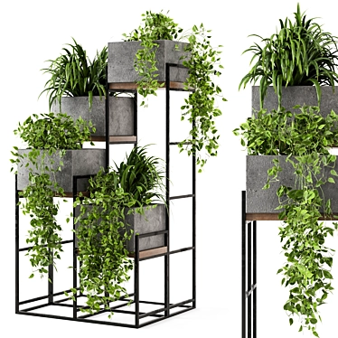 Rusty Concrete Pot Indoor Plants - Set 107 3D model image 1 