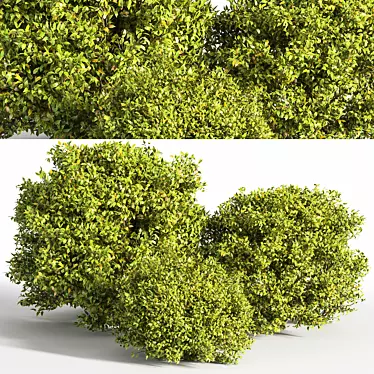 Modern Bush Furniture: 2015 Version 3D model image 1 