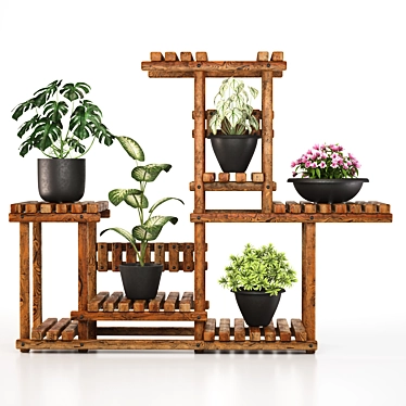 5 Indoor Plant Set 3D model image 1 