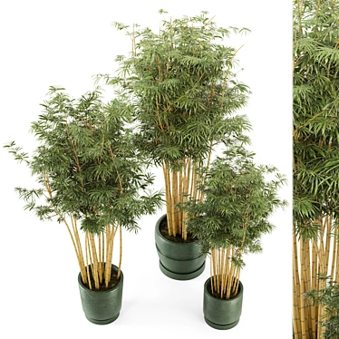 Rustic Bamboo Indoor Plants - Set 108 3D model image 1 