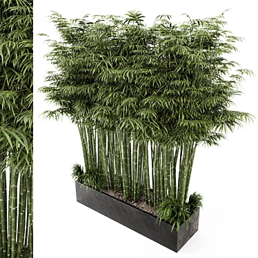 Rusty Concrete Pot Set with Outdoor Bamboo Plants 3D model image 1 