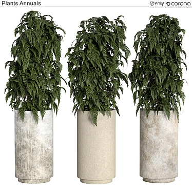 All-In-One Plants Collection 3D model image 1 