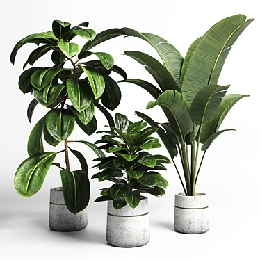 Modern Concrete Vase with Indoor Plant 3D model image 1 