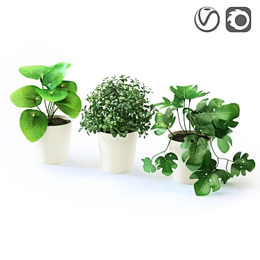 Realistic FEJKA Fake Plants 3D model image 1 