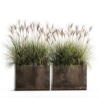 Exotic Plant Collection: Decorative Grasses, Reeds & More 3D model image 1 