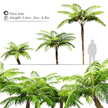Tall Tree Fern Set 3D model image 1 