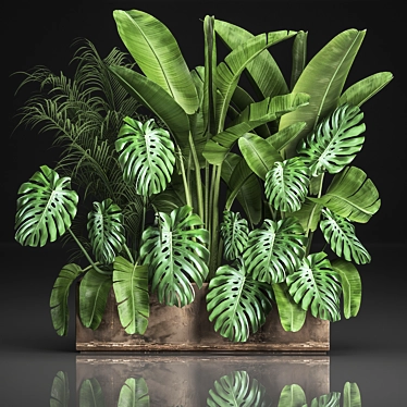 Exotic Plant Collection 3D model image 1 