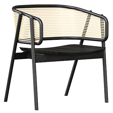 Elegant Cane Armchair - 2015 3D model image 1 