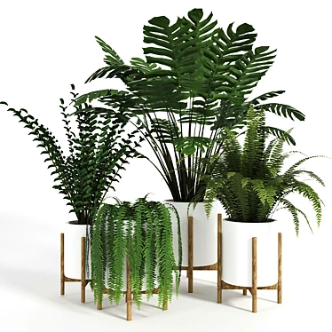 Green Haven Collection: 4 Indoor Plants 3D model image 1 