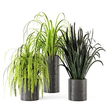 Lush Indoor Greenery - Set 012 3D model image 1 