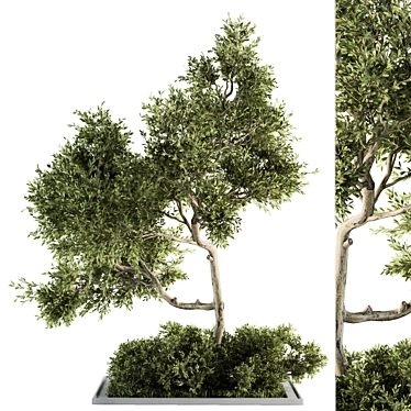 Evergreen Garden Set 13 - Transform Your Garden! 3D model image 1 