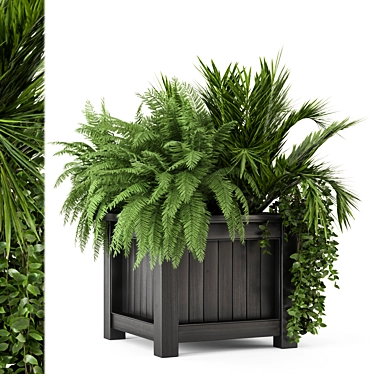 Outdoor Plants Set with Wooden Pot 3D model image 1 