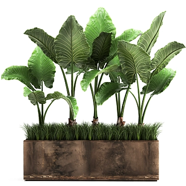 Tropical Plant Collection in Rustic Metal Pots 3D model image 1 