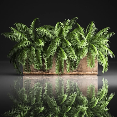 Tropical Plant Collection 3D model image 1 