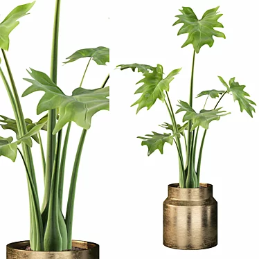 Lush Greenery: Philodendron Xanadu 3D model image 1 