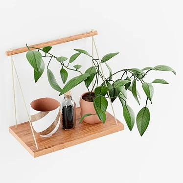 Minimalist Mango Wood Hanging Wall Shelf 3D model image 1 