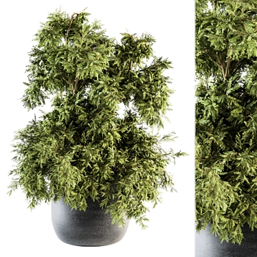 Green Oasis - Outdoor Plant Set 3D model image 1 