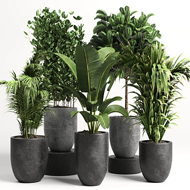 Modern Concrete Vase: Indoor Plant Collection 3D model image 1 